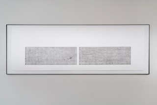 ___'Untitled (Kickplate 2.310A)'___, intaglio ink print on paper in metal frame, 250 x 91 cm, 2025 